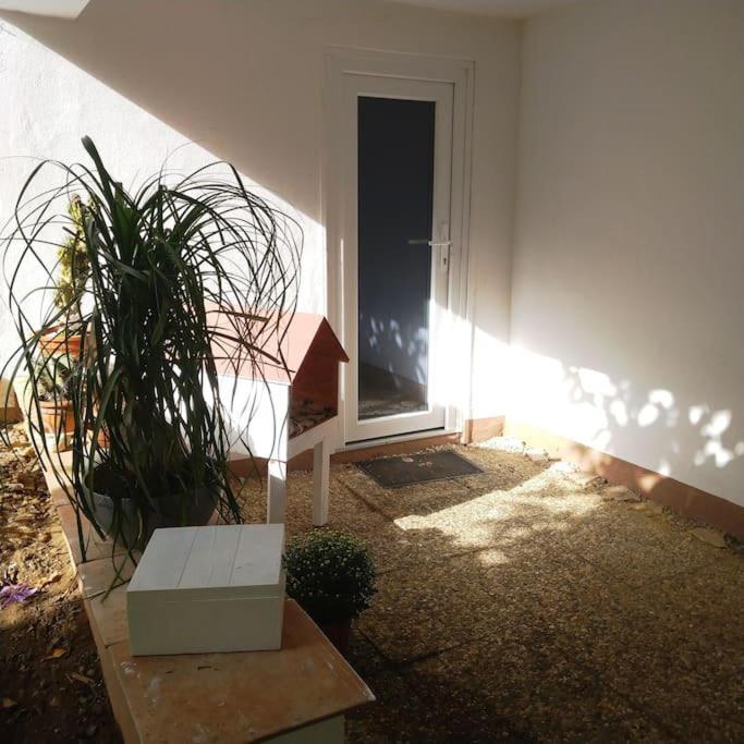 Reinhardshagen Carlchens Casa 아파트 외부 사진