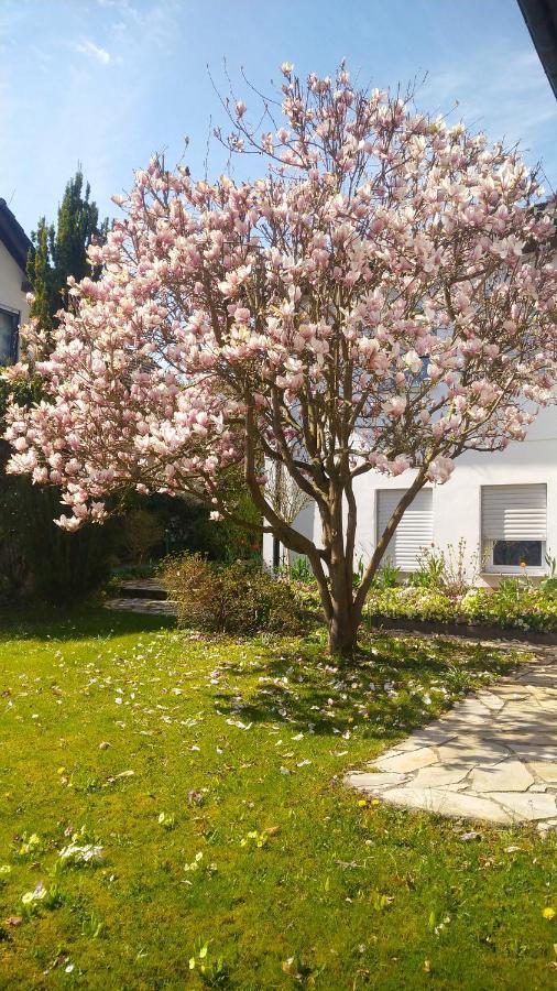 Reinhardshagen Carlchens Casa 아파트 외부 사진